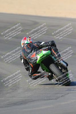 media/Nov-12-2023-SoCal Trackdays (Sun) [[5d1fba4e7d]]/Turn 10 Backside (115pm)/